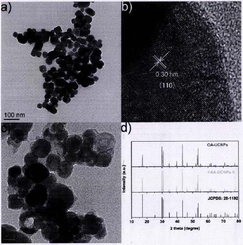 An up-conversion luminescent nano-sensing material for detecting arginine and its application in arginine detection