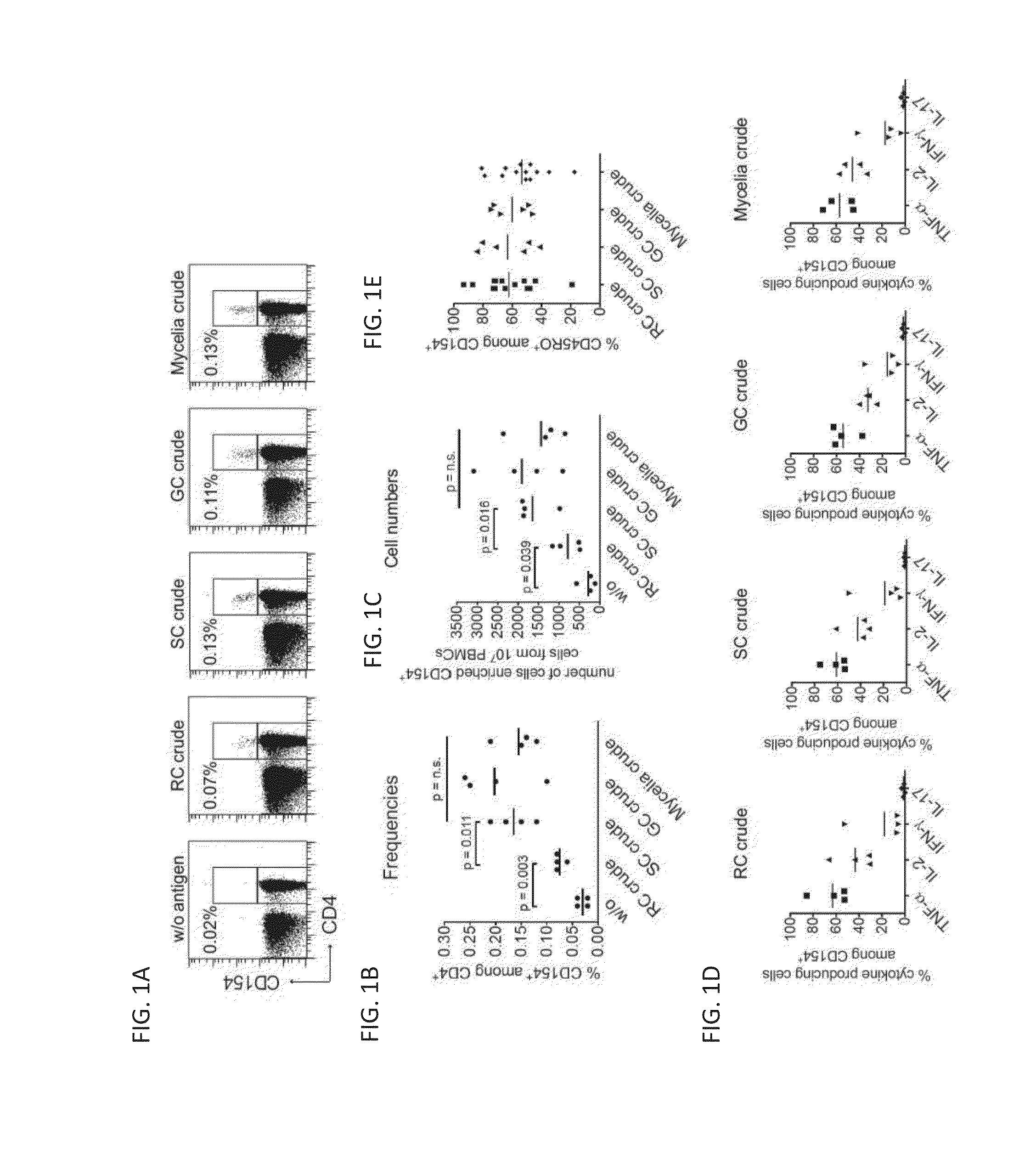 Immunogenic antigens from aspergillus fumigatus