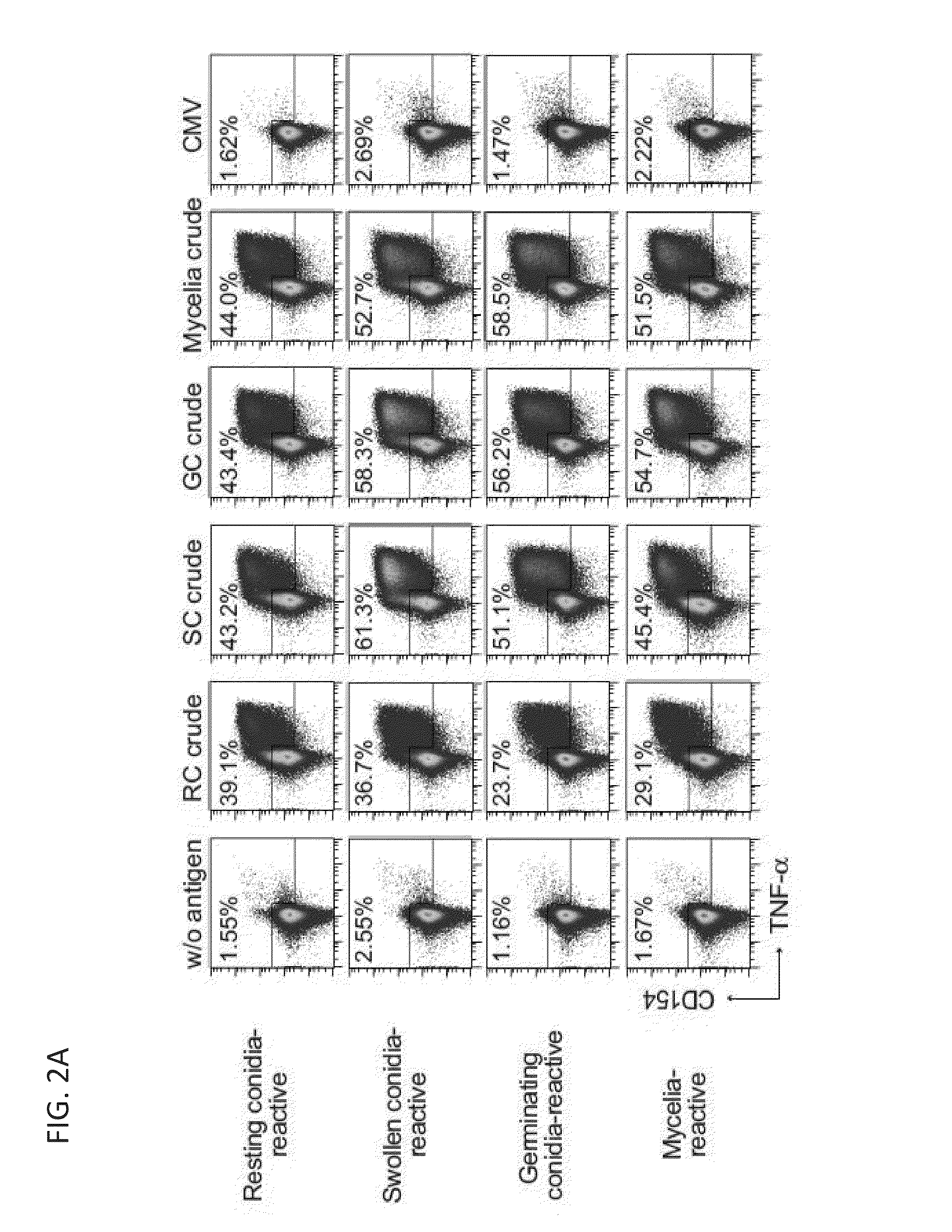 Immunogenic antigens from aspergillus fumigatus