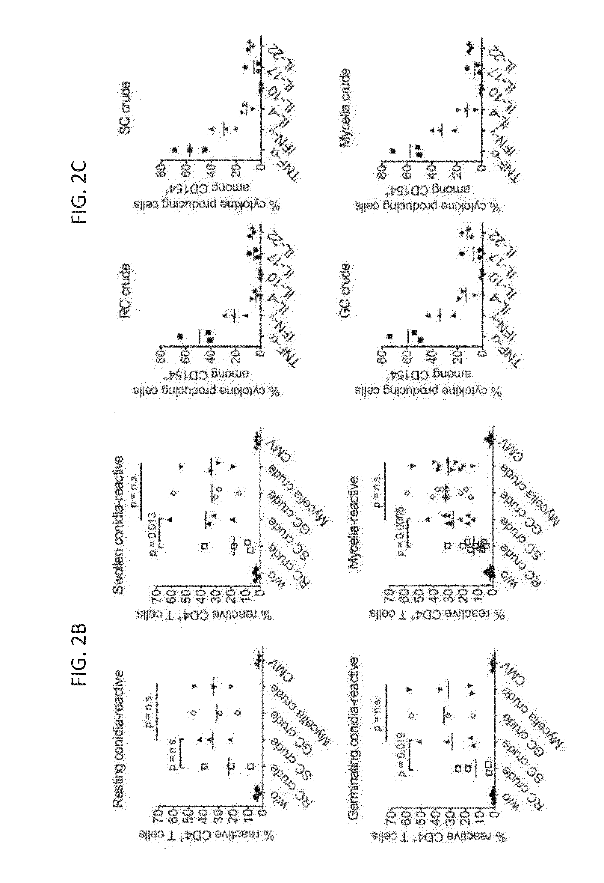 Immunogenic antigens from aspergillus fumigatus