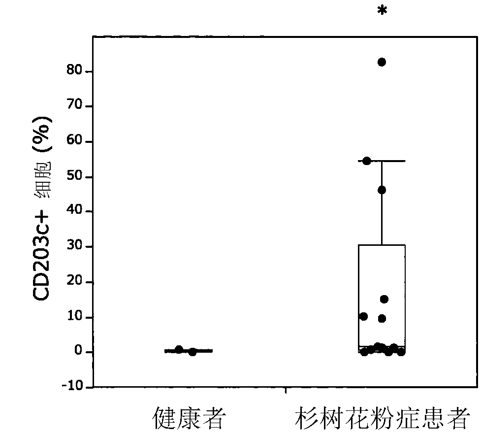 New cedar pollen protein