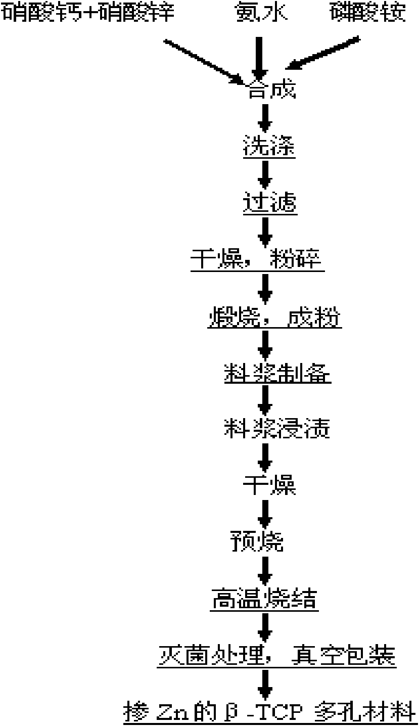 Beta-TCP porous material and preparation method thereof