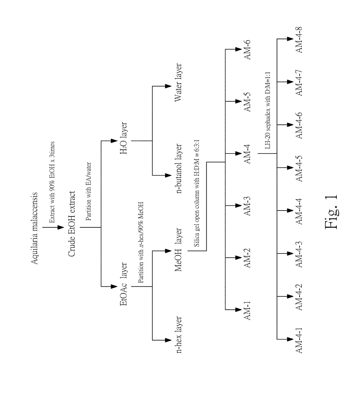 Compositions and methods of antiallergic phorbol ester and phorbol derivatives as the main active ingredients from the seeds of aquilaria malaccensis