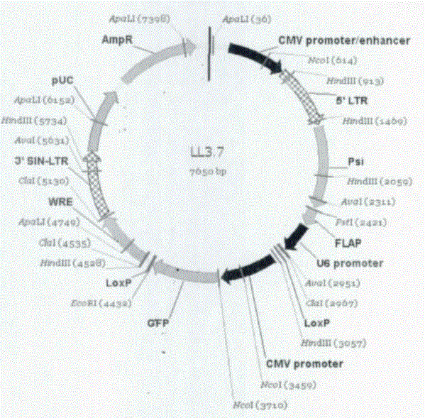 Method, kit and use for preparing pluripotent stem cells