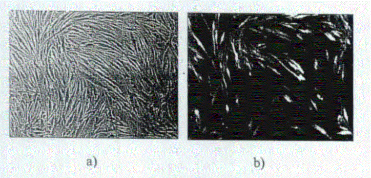 Method, kit and use for preparing pluripotent stem cells