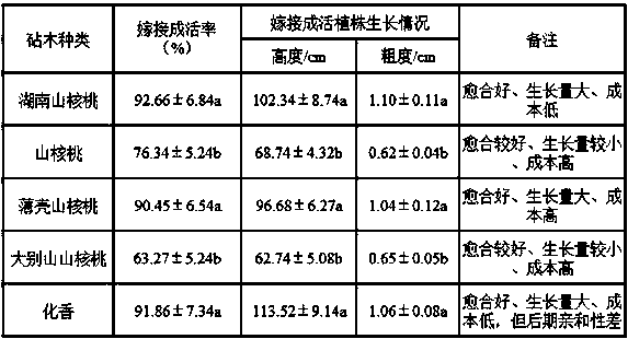 A kind of cultivation method of hickory grafted with Hunan hickory as rootstock