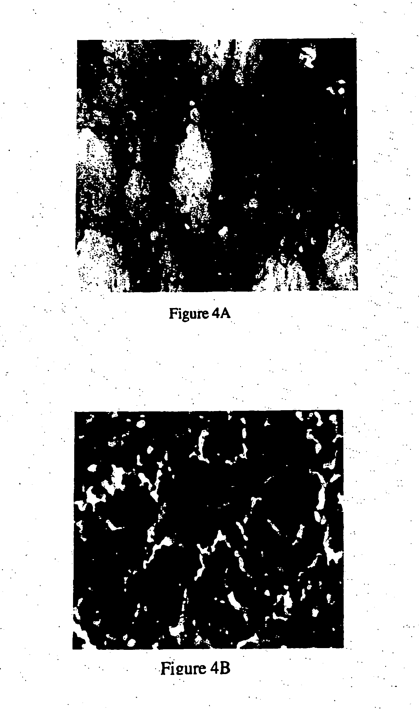 Method for using potassium channel agonists for delivering a medicant to an abnormal brain region and/or a malignant tumor