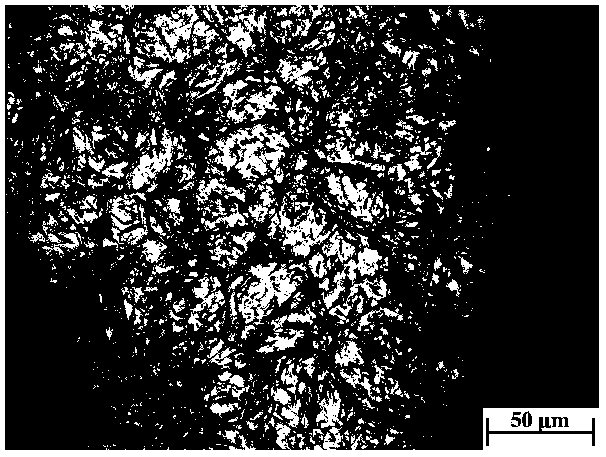 Method for simultaneously displaying bearing steel austenite grain boundary and transgranular martensite