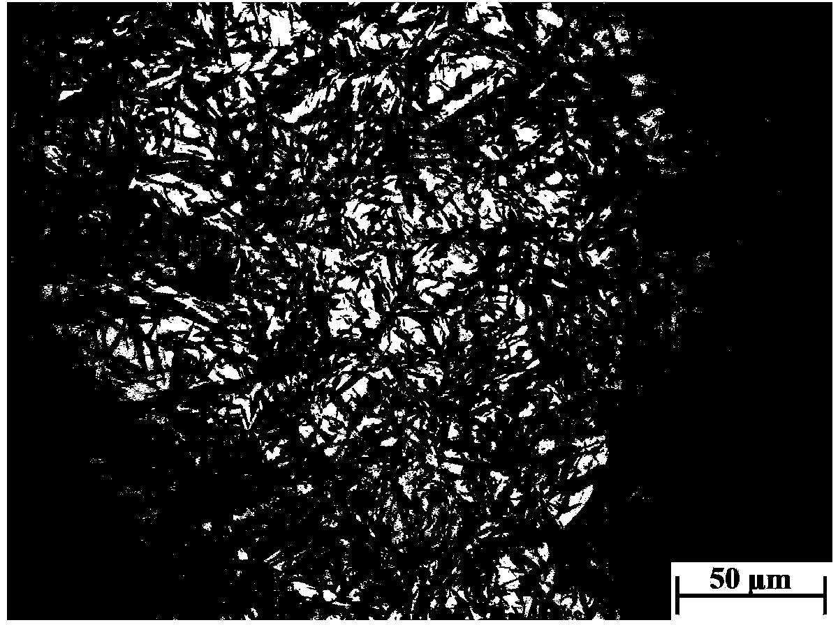 Method for simultaneously displaying bearing steel austenite grain boundary and transgranular martensite