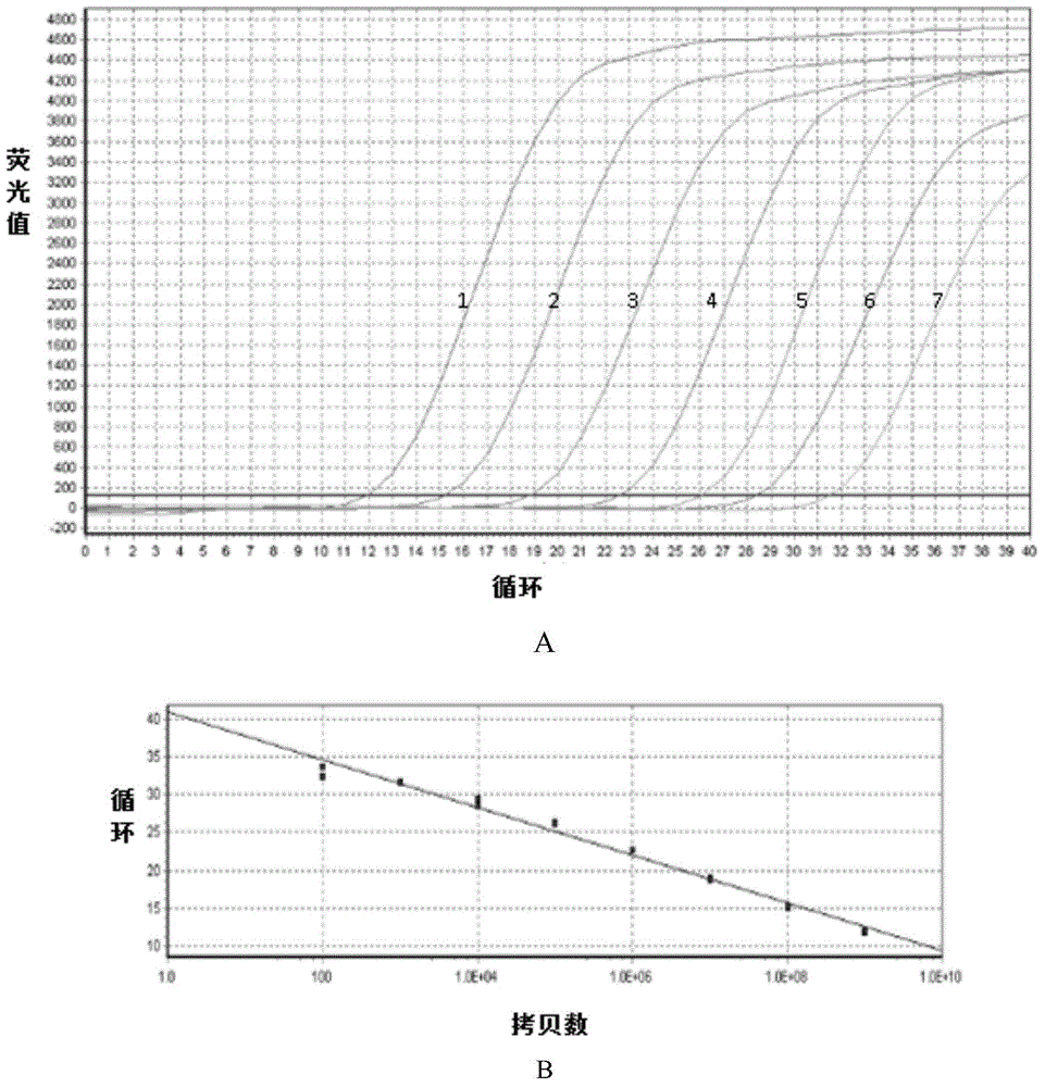 DHAV (duck hepatitis A virus) typing detection method based on fluorescent quantitative PCR (polymerase chain reaction) melting curve method