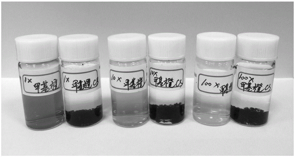 Polyethyleneimine-chitosan adsorbent one-step synthesis method
