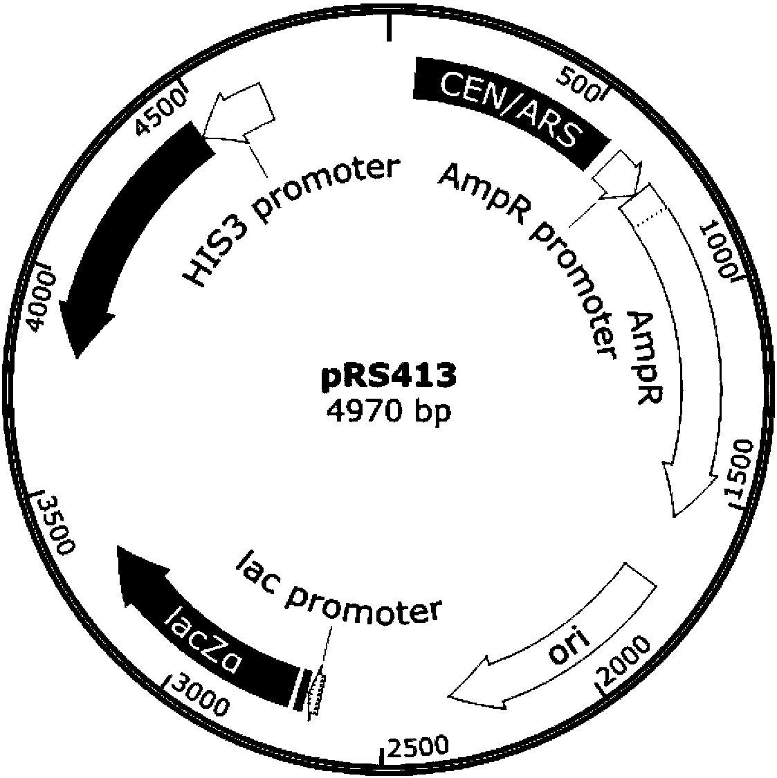 Gene element for accurately controlling gene rearrangement and recombinant plasmid and application thereof