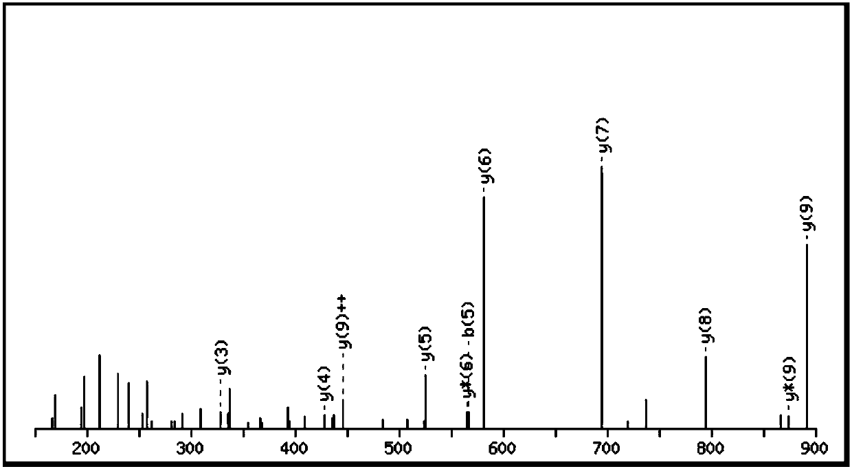 Biologically active polypeptide QQPVLGPVRGP and preparation method and application thereof