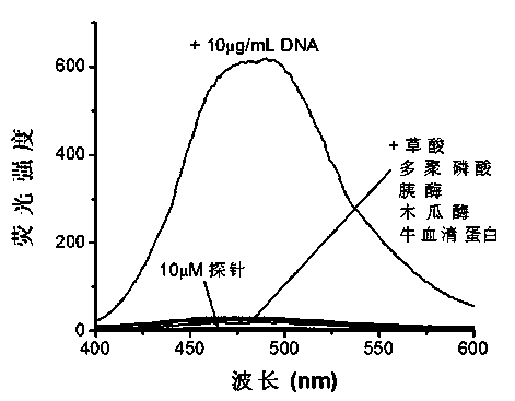 Nucleic acid fluorescence probe and preparation method thereof