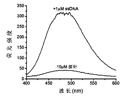 Nucleic acid fluorescence probe and preparation method thereof