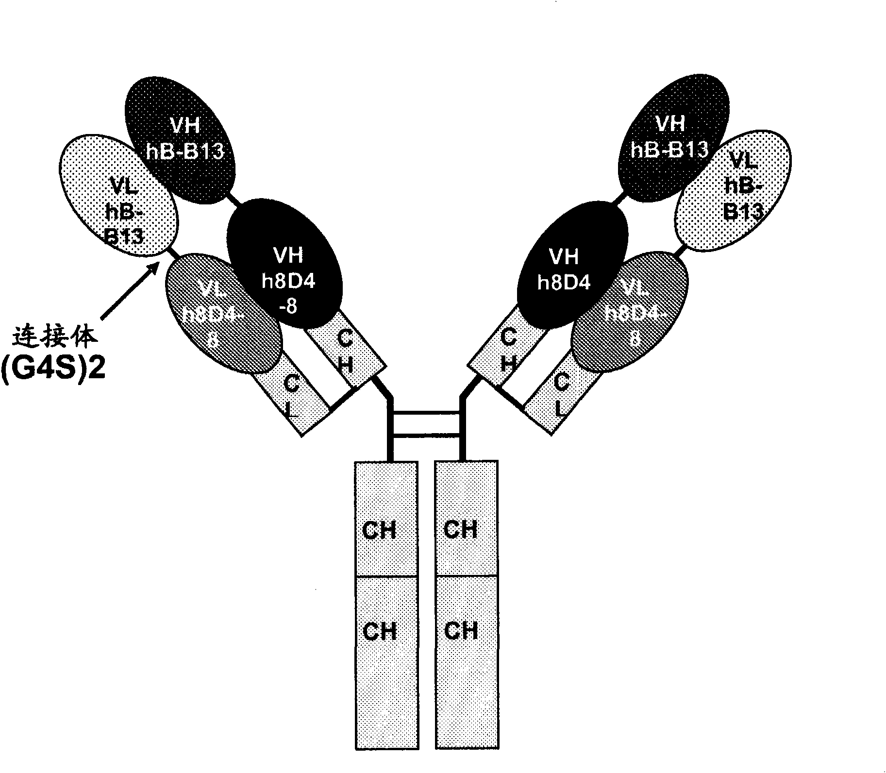 Antibodies that bind IL-4 and/or IL-13 and their uses