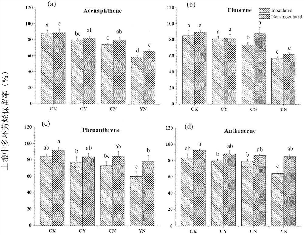 A method for the combined degradation of polycyclic aromatic hydrocarbon pollutants in soil by chemical oxidation and anaerobic microorganisms