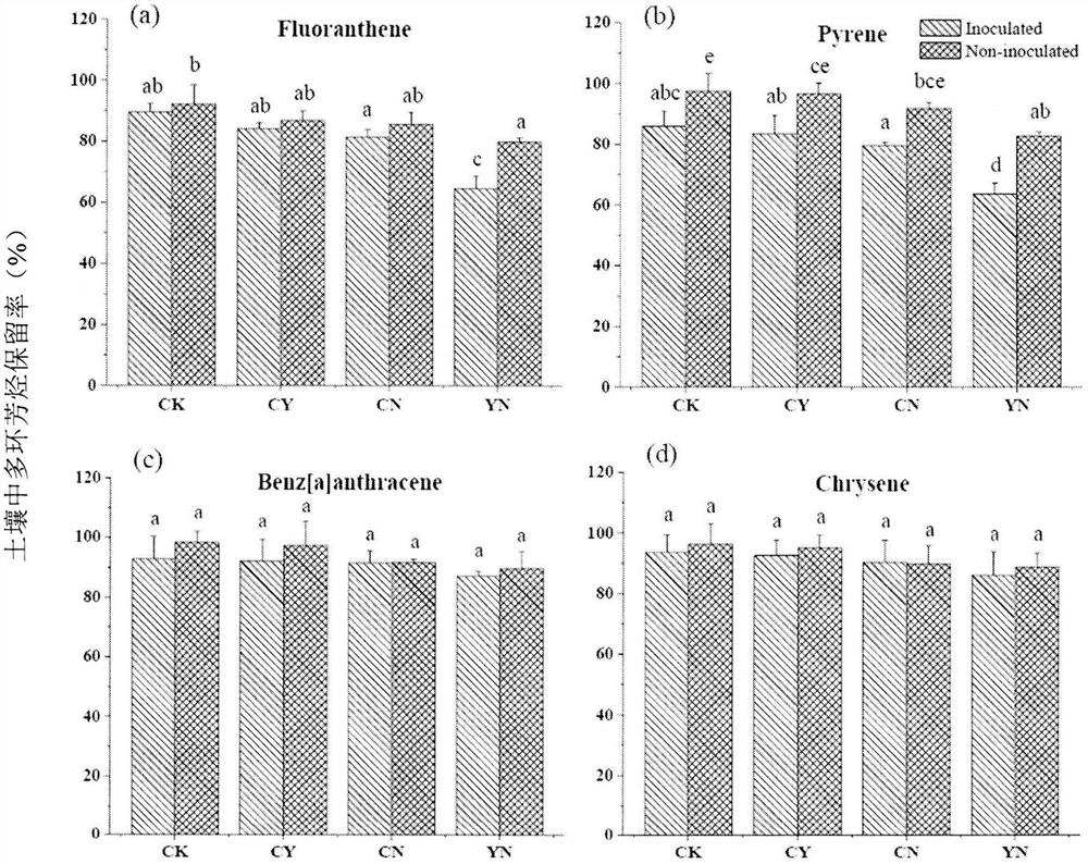 A method for the combined degradation of polycyclic aromatic hydrocarbon pollutants in soil by chemical oxidation and anaerobic microorganisms