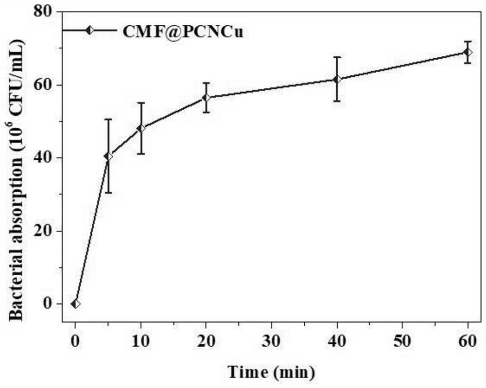 Metalloporphyrin terephthalate photo-thermal cellulose as well as preparation method and application thereof