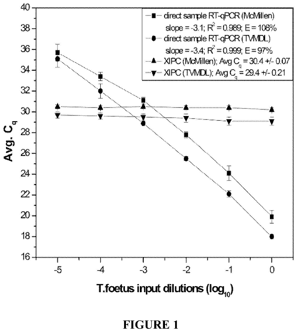 <i>Tritrichomonas foetus </i>nucleic acid detection methods