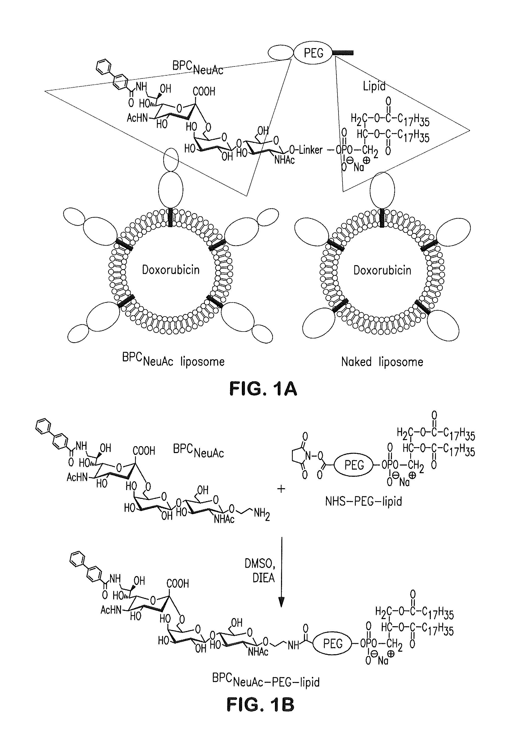 Liposome targeting compounds and related uses