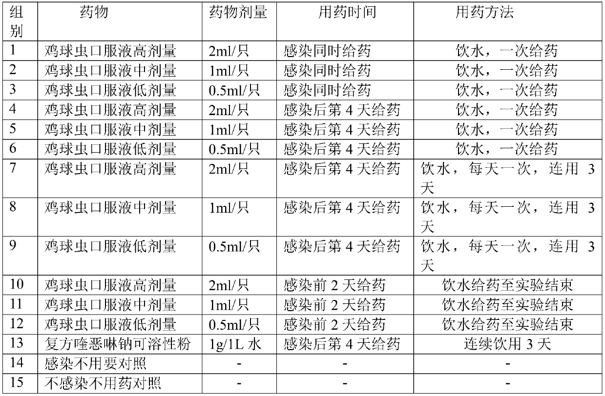 Veterinary traditional Chinese medicine chicken coccidiosis oral solution and preparation method thereof