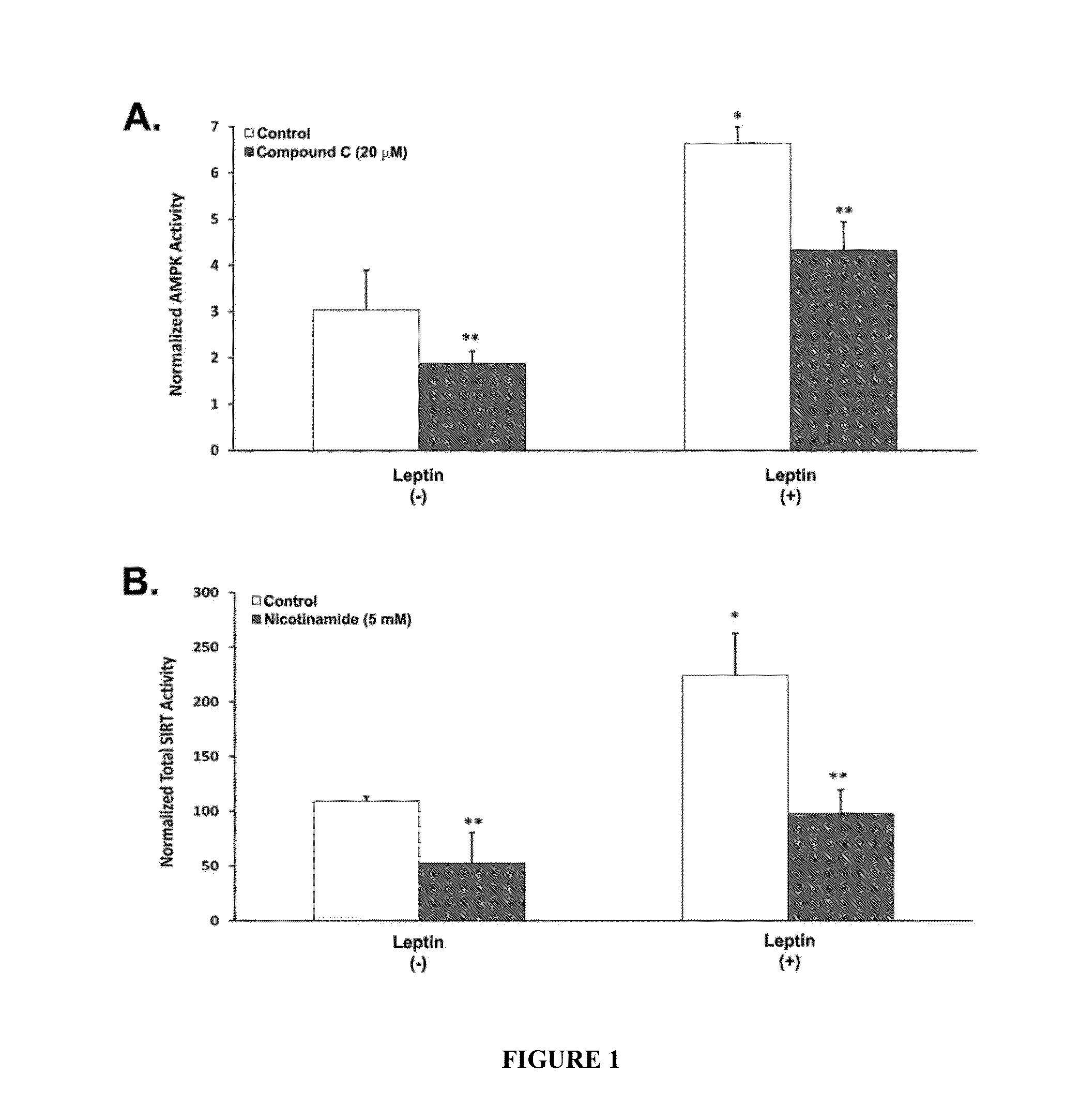 Compositions and Methods for Delaying Senescence or Cell Death in Neurons
