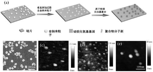Method for preparing nanoscale polymer brush array through gold nanoparticles