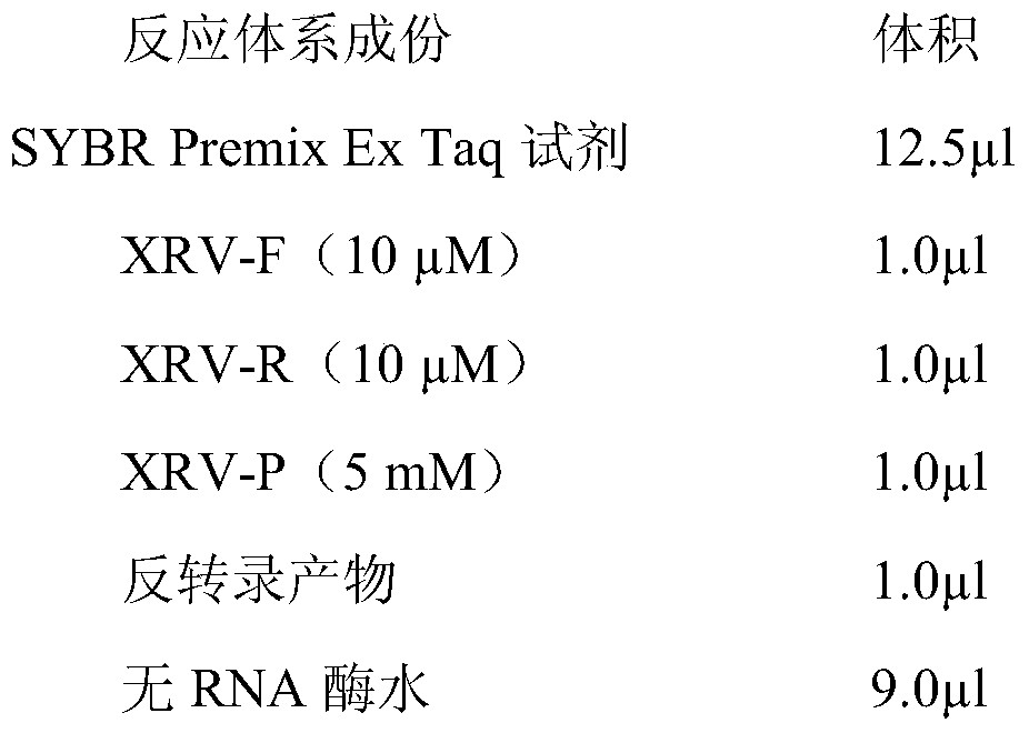 A Fluorescence Quantitative PCR Detection Method of Xijiang Virus Sybr Green I