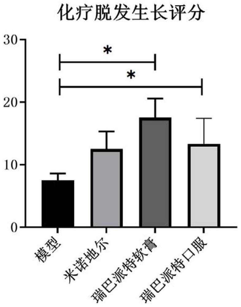 Anti-hair loss and hair growth uses of rebamipide