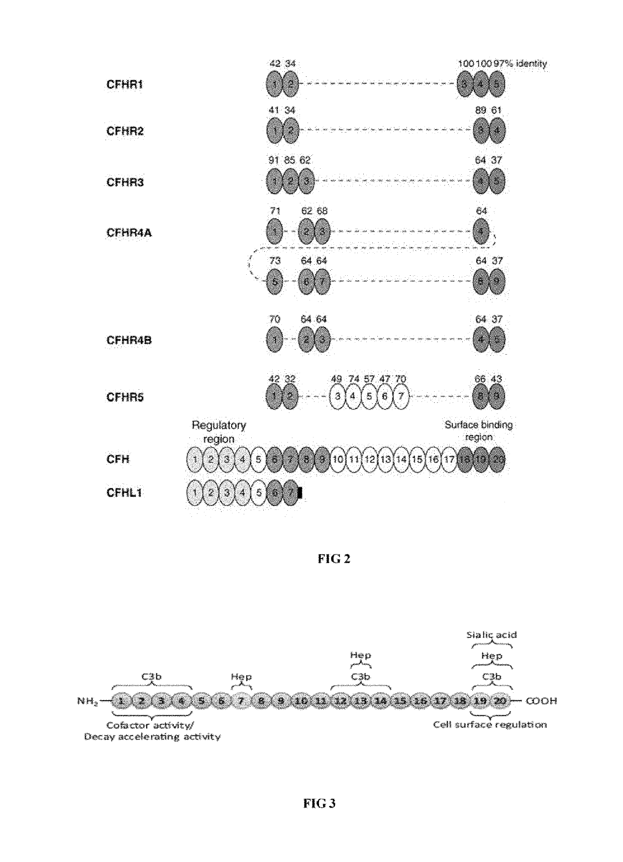 Method and kit for detecting concentration of factor h