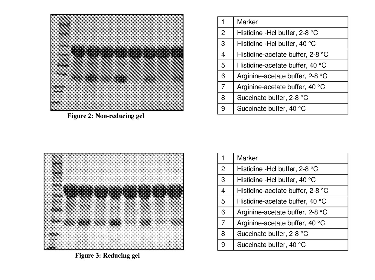 Liquid pharmaceutical composition of conjugated erythropoietin