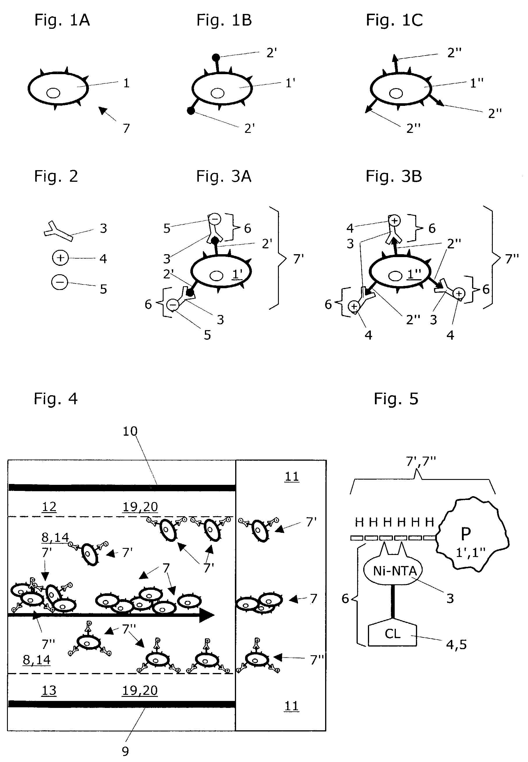 Apparatus and separation media for separating particles in free-flow electrophoresis