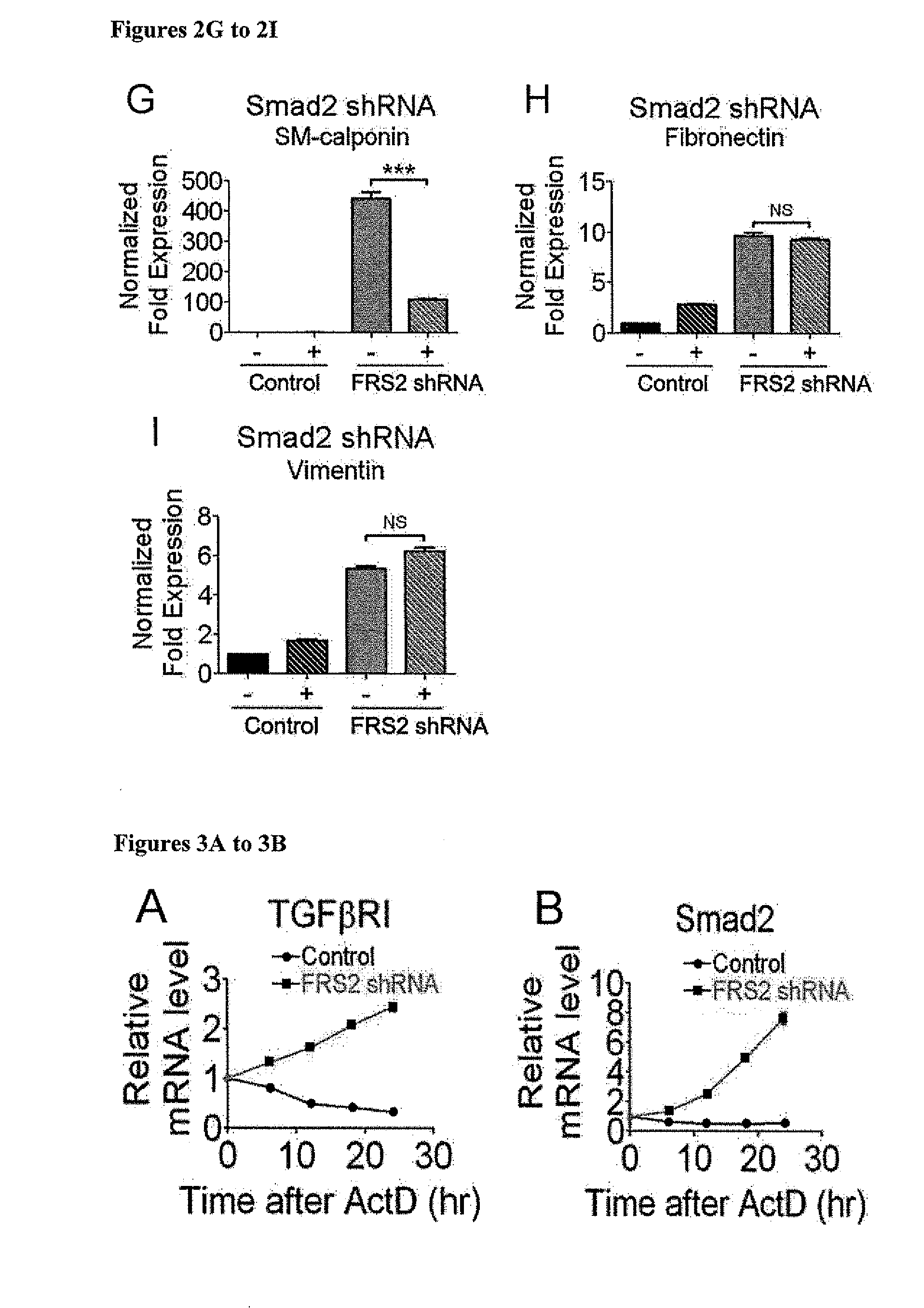 Compositions and Methods for Treating and Preventing Neointimal Stenosis