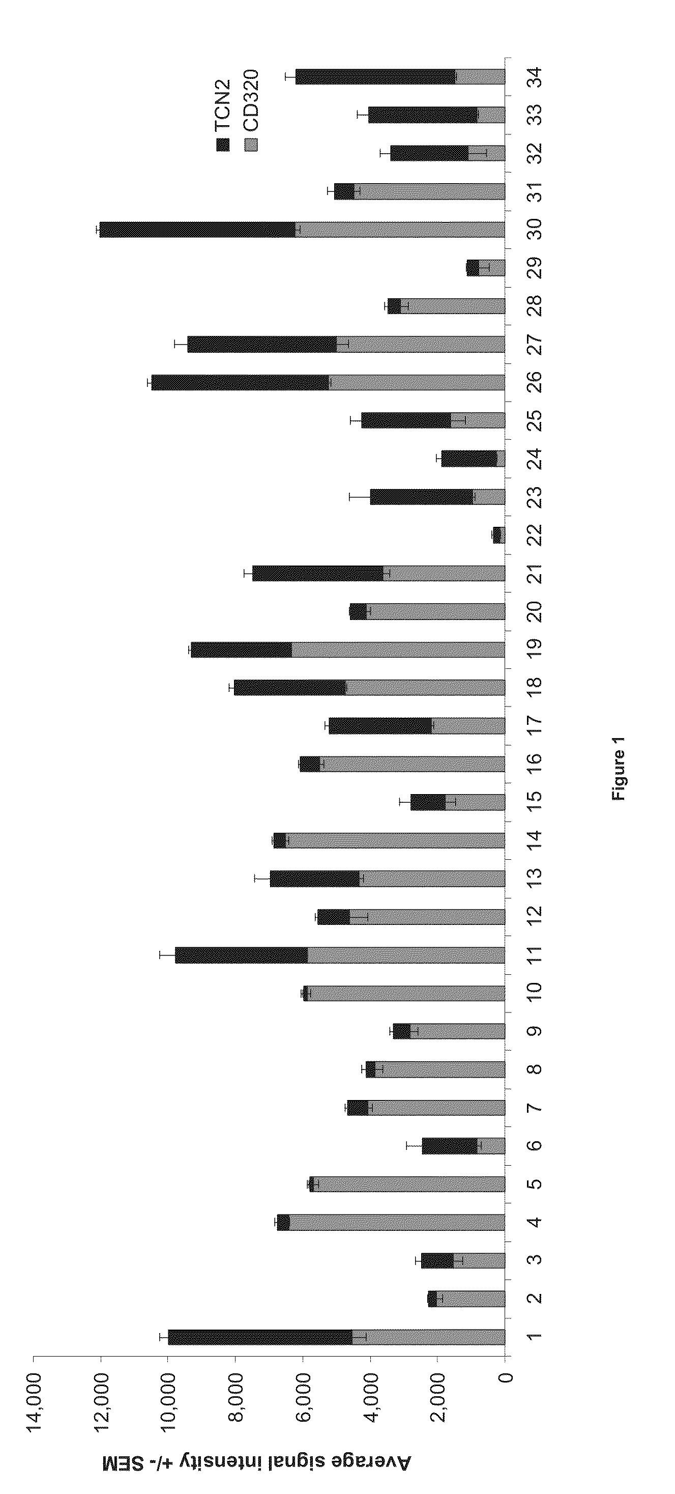 Methods for the diagnosis, treatment and monitoring of cancer