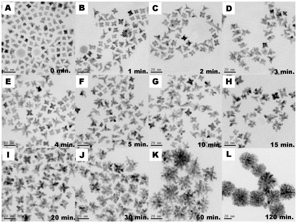 Dendritic platinum-palladium alloy nanometer catalyst as well as preparation method and application thereof
