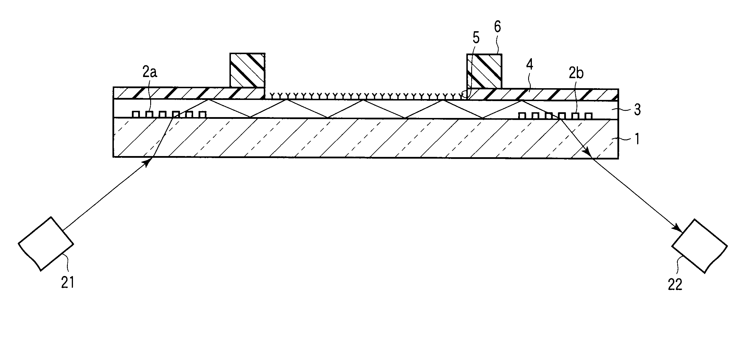 Optical-waveguide sensor chip, method of manufacturing the same, method of measuring substance, substance-measuring kit and optical-waveguide sensor