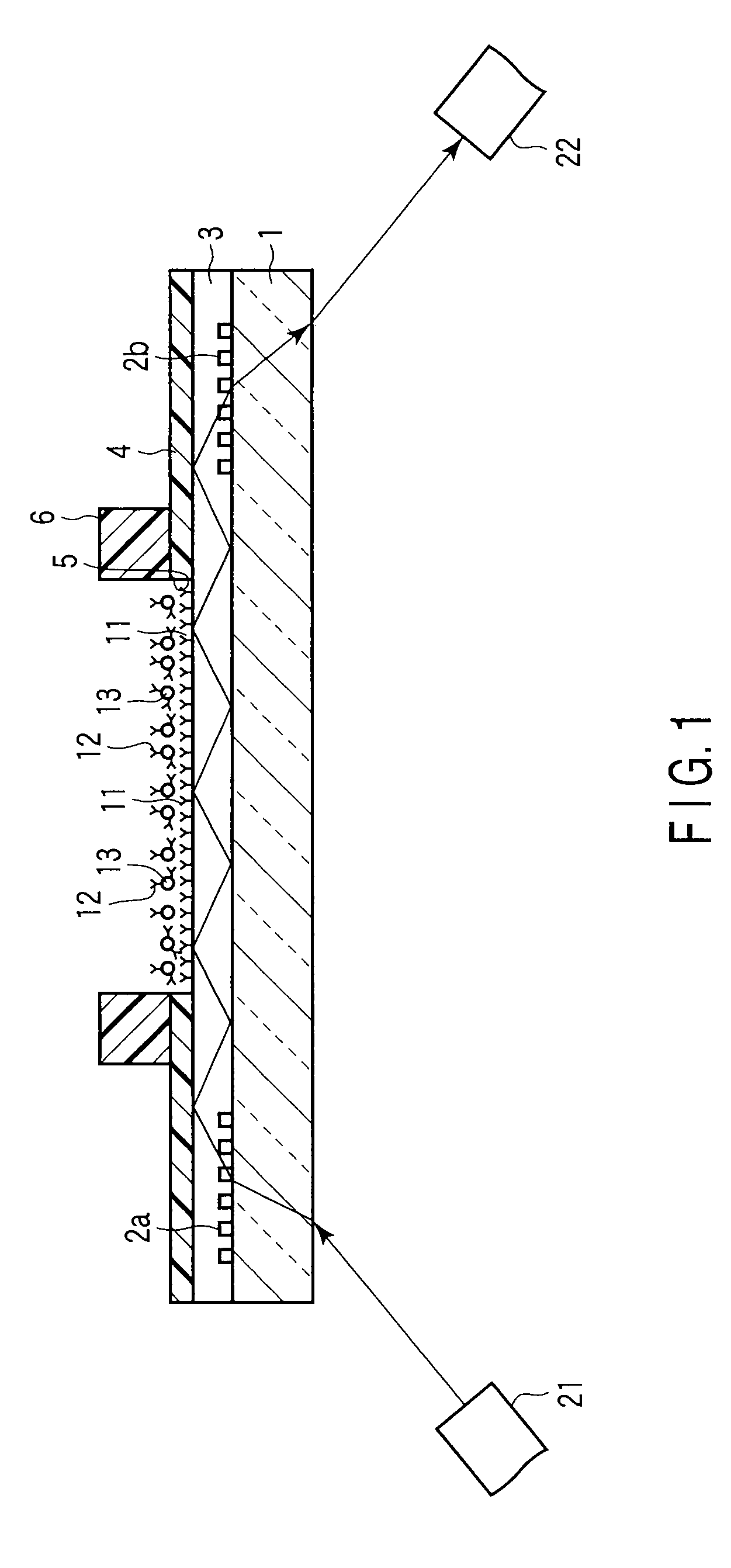 Optical-waveguide sensor chip, method of manufacturing the same, method of measuring substance, substance-measuring kit and optical-waveguide sensor