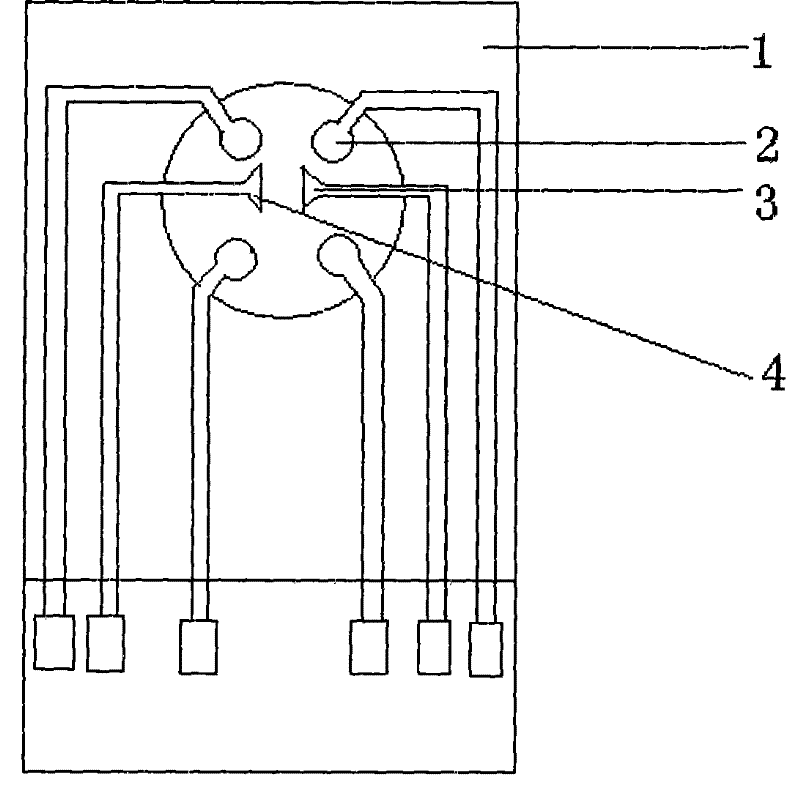 Device for detecting avian influenza virus antibody and detection method