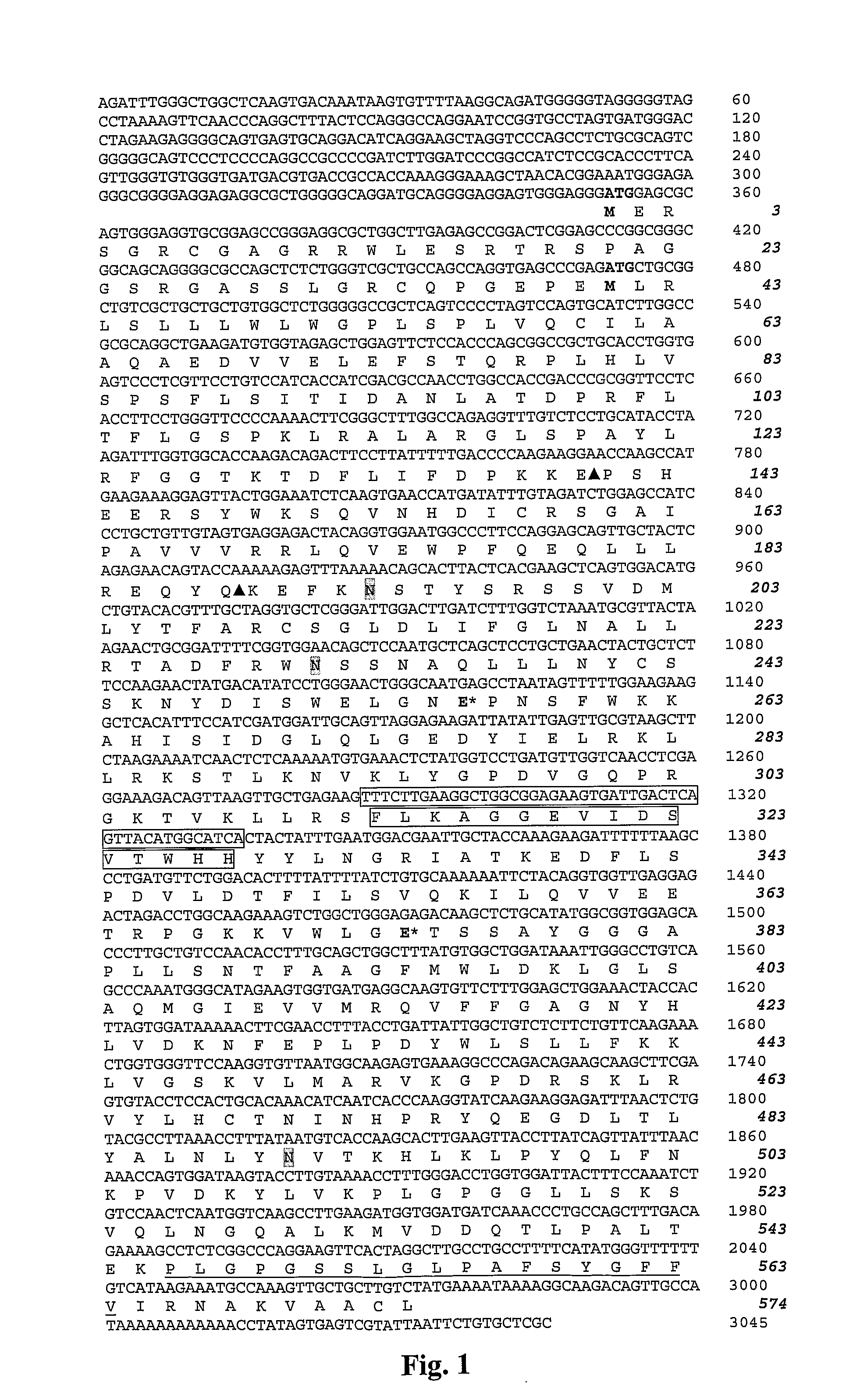 Heparanases and Splice Variants Thereof, Ponucleotides Encoding Them and Uses Thereof