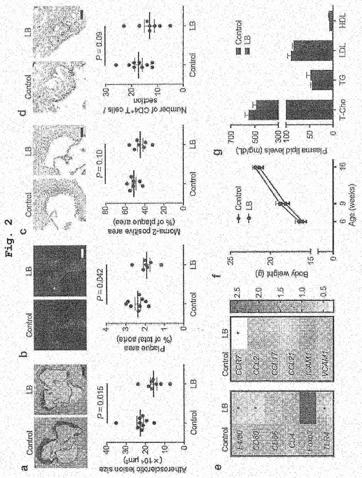 Lipopolysaccharide-regulated enteric bacteria and use thereof