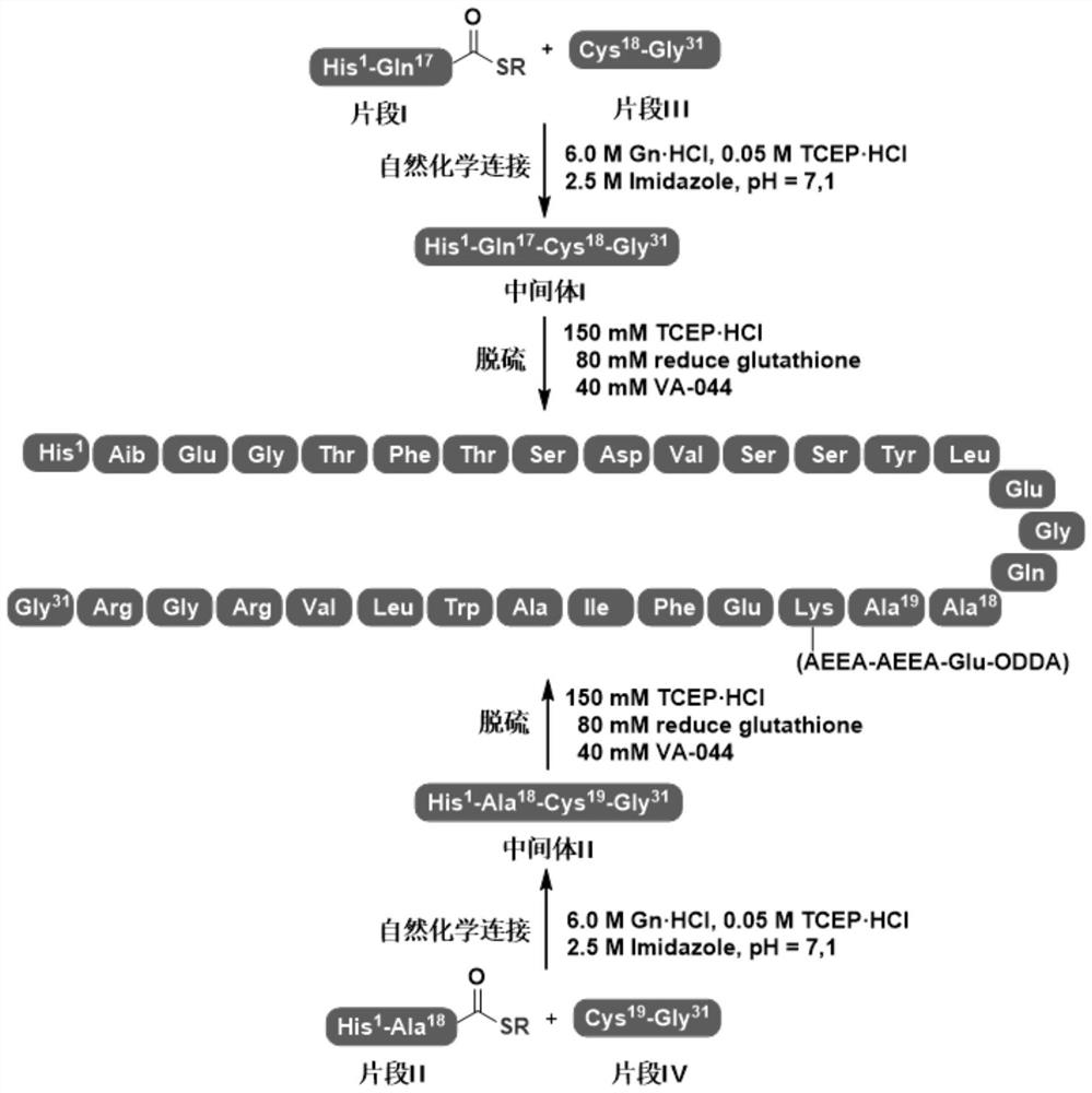 Synthesis method of semaglutide