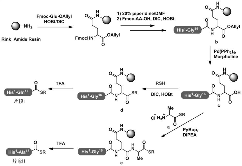 Synthesis method of semaglutide