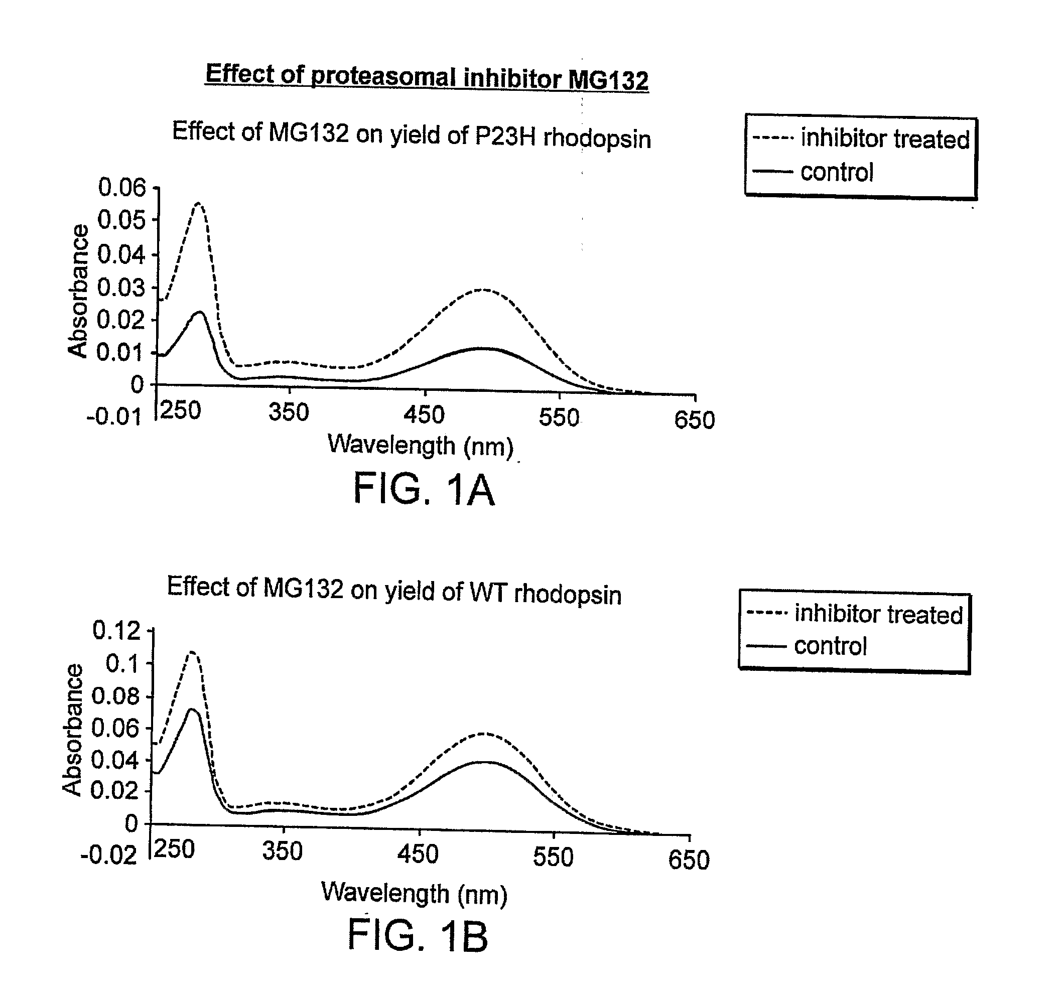 Small Compounds That Correct Protein Misfolding and Uses Thereof