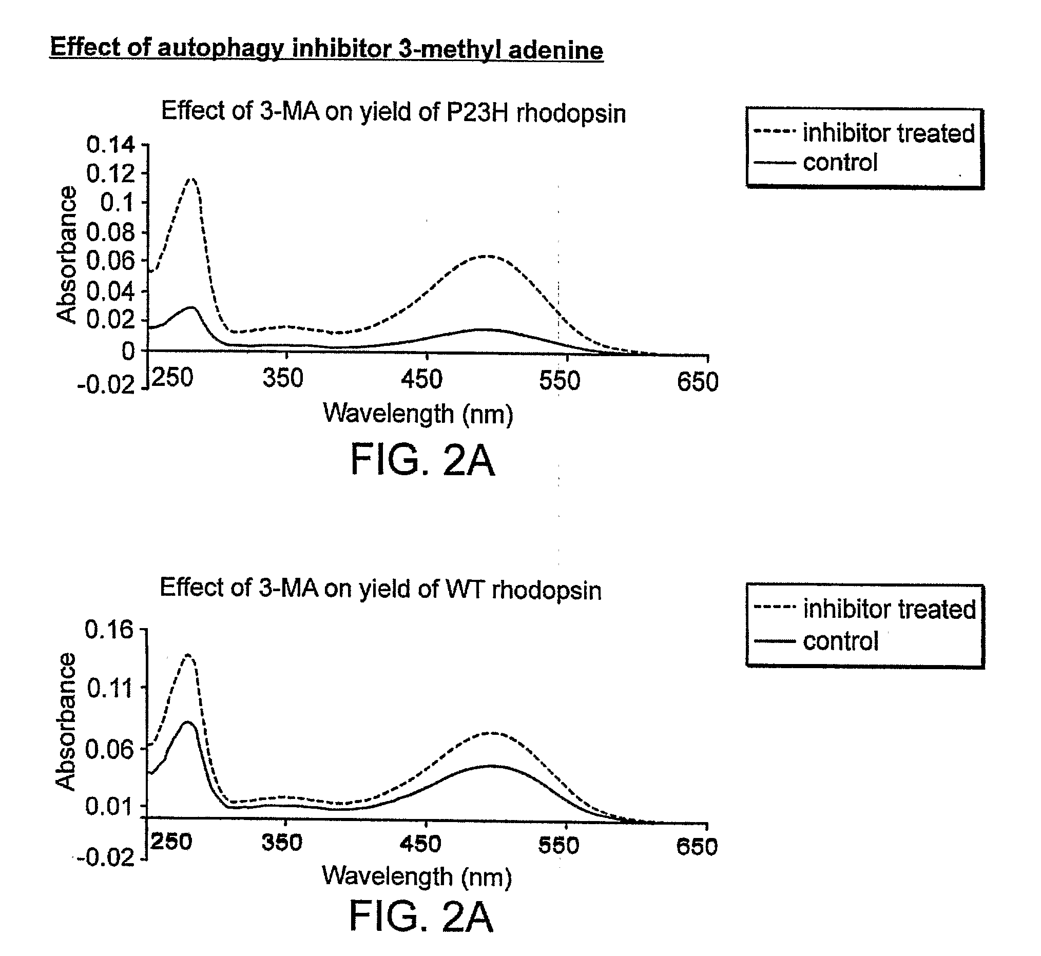 Small Compounds That Correct Protein Misfolding and Uses Thereof