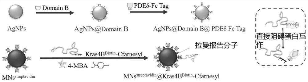 High-throughput screening method for targeted drug