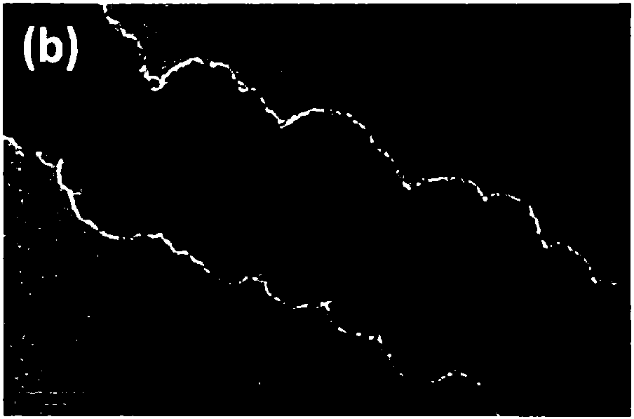 A preparation method of candied haws-shaped superamphiphobic composite material