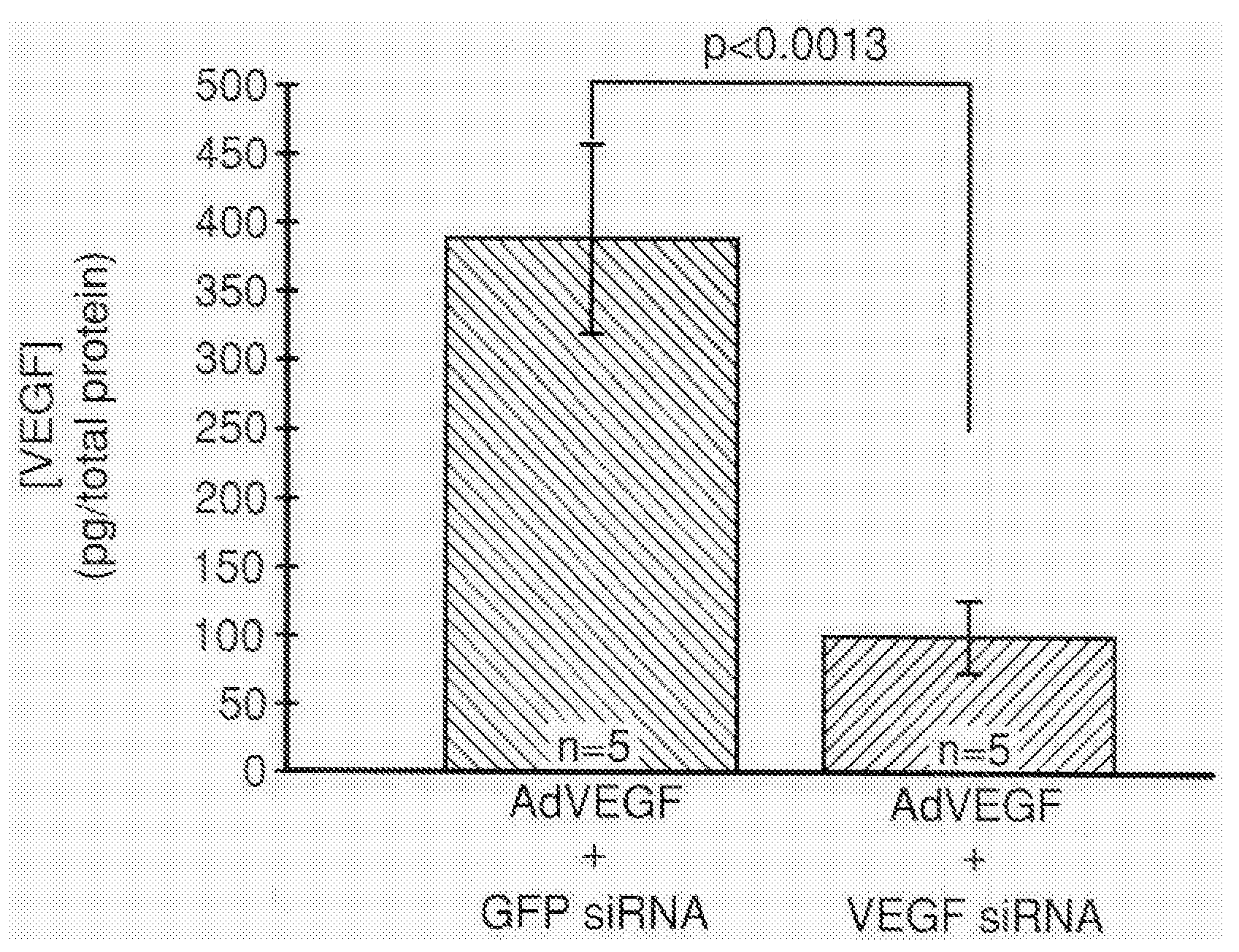 COMPOSITIONS AND METHODS FOR siRNA INHIBITION OF ANGIOGENESIS