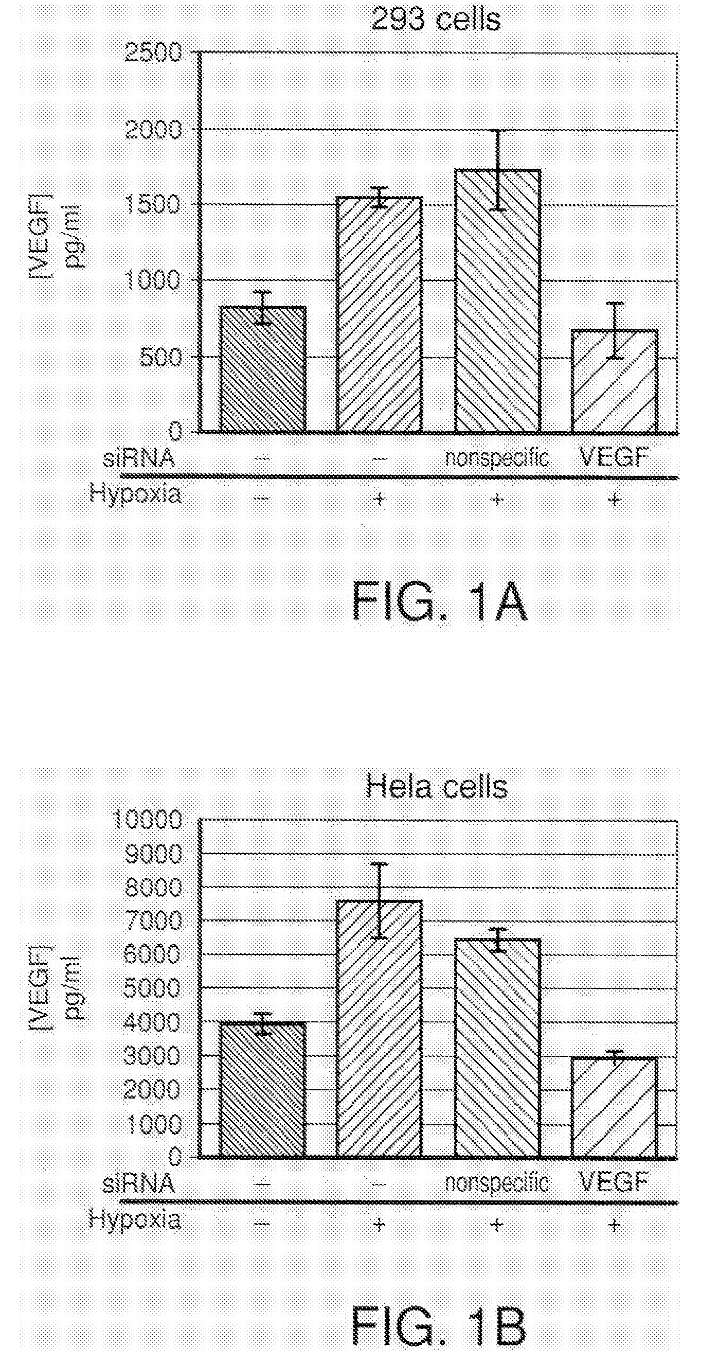 COMPOSITIONS AND METHODS FOR siRNA INHIBITION OF ANGIOGENESIS