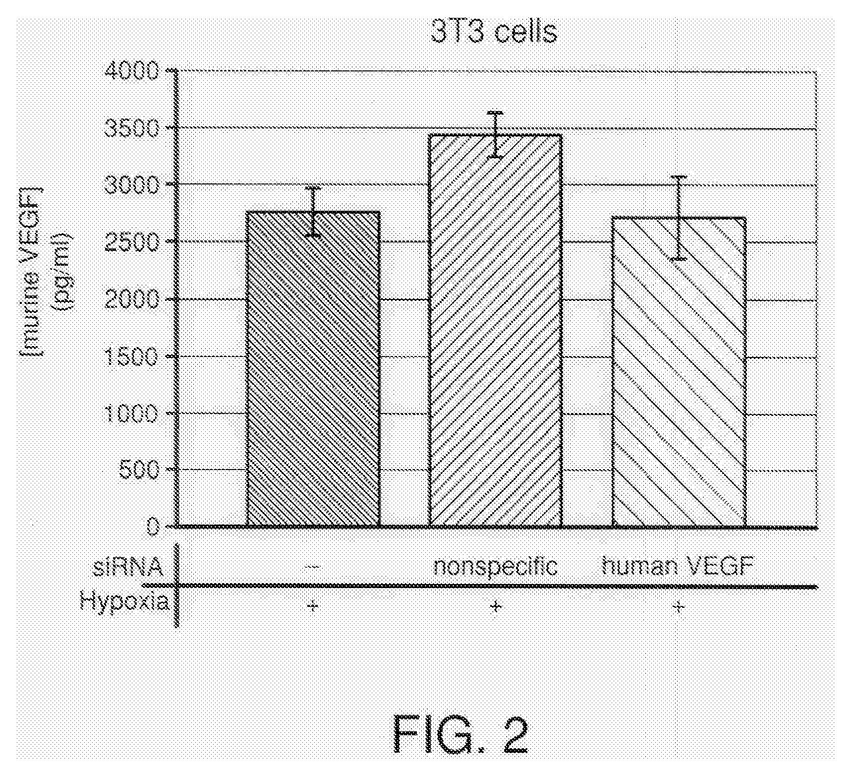 COMPOSITIONS AND METHODS FOR siRNA INHIBITION OF ANGIOGENESIS